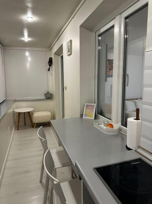 Apartment Studio Cozy Piata Victoriei
